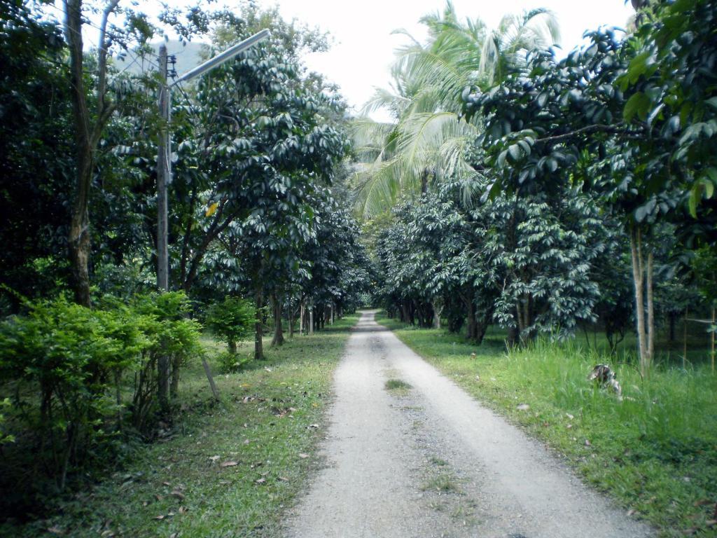 Khunnam Rimtarn Resort Mae Sai Ngoại thất bức ảnh